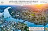 A Pilot Project in Limerick City - LEPH2019 Edinburgh 21 ... · •The 4.19km stretch of the river in Limerick City is responsible for 26% of all suicide/suicide attempts •Almost