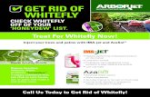 Get riD of Whitefly - Arborjetarborjet.com/images/products/WhiteflyHandout5_8.pdfGet riD of Whitefly treat for Whitefly Now! Call us today to Get rid of Whitefly! inject your trees