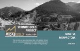 STIBNITE GOLD PROJECT · 6/23/2020  · include, among others, the industry-wide risks and project-specific risks identified in the technical report titled "Stibnite Gold Project,
