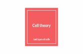 Cell theory - sps186.org theory (1).pdf · Different types of cells have different jobs, this is called Cell Specialization Tissue -- group of cells that perform a particular function