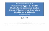 Common Core 3.0 Knowledge & Skill Reinforcement Lab: Case ... · 12/31/2018  · California Common Core Curriculum | Knowledge and Skill Reinforcement Lab: Case Planning Service Delivery