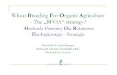 Hodowla Pszenicy Dla Rolnictwa...VCU test In Austria - integrated testing of candidates and most important release varieties Some conventionally released varieties are included into