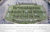 Optimizing Bermudagrass Athletic Field Winter …...Managing Bermudagrass in the Transition Zone 3 Keys to Management from a Sports Turf Manager Fertility plan “feeding the soil”