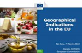 Geographical Indications in the EU · geographical indications, Inclusion of the possibility of accession by intergovernmental organizations (like EU) Diplomatic Conference for the