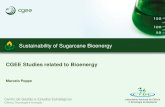 Sustainability of Sugarcane Bioenergy · Coordination: Rogério Cezar de Cerqueira Leite / Luís Augusto Barbosa Cortez Supervision: CGEE. Slide 5 Bioethanol studies Book in four