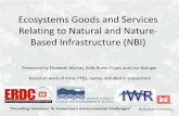 Ecosystems Goods and Services Relating to Natural and Nature- …€¦ · Based Infrastructure (NBI) Presented by Elizabeth Murray, Kelly Burks-Copes and Lisa Wainger based on work