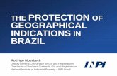 PROTECTION OF GEOGRAPHICAL INDICATIONS BRAZIL · THE PROTECTION OF GEOGRAPHICAL INDICATIONS IN BRAZIL Rodrigo Moerbeck Deputy General Coordinator for GIs and Registrations Directorate
