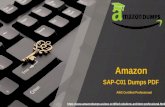 Amazon SAP-C01 Dumps-SAP-C01 Study Material | AmazonDumps.us