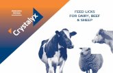FEED LICKS PROVEN FOR DAIRY, BEEF & SHEEP · beef and sheep. p32 pre-calver for dairy and beef cows. p20 cattle booster for dairy cattle, beef cattle and growing goats all year round.