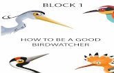 HOW TO BE A GOOD BIRDWATCHER - SEO · climb tree trunks. In flightless birds, like ostriches or emus, hind limbs are their main and highly ... (SEO), the Slovak Ornithological Society