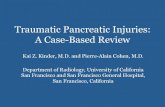 Traumatic Pancreatic Injuries: A Case-Based Review · handlebars while riding his BMX bike and had persistent abdominal pain Secondary CT Findings . Pancreatic Trauma Classification