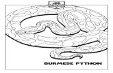 burmese-python - Critter Squad Wildlife Defenders · Title: burmese-python Created Date: 11/3/2017 12:44:19 PM