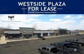 WESTSIDE PLAZA FOR LEASE - W Investors Group · westside plaza for lease 2218-2258 s milford road, highland, mi 48357 click here for better view . tradeaerial 2. siteplan 3. 2018demographics