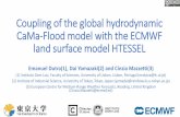 Coupling of the global hydrodynamic CaMa-Flood model with ...CMF 01min OMP=36 (tstep=24 s. Test Cases: Global overview 11 •Very small differences among different coupled and stand-alone