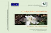 for Energy, Environment and ... - Crop Wild European crop wild relative diversity assessment and conservation