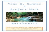 €¦  · Web viewProject Work . Rainforests. ... In fact, can you believe that more than 20 percent of the world’s oxygen is produced in the Amazon Rainforest alone? Rainforests