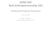 SUNY ESF Tech Entrepreneurship 101 · SUNY ESF Tech Entrepreneurship 101 Intellectual Property Protection May 12, 2014 George R. McGuire Bond, Schoeneck & King, PLLC David L. Nocilly,
