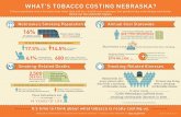 WHAT’S TOBACCO COSTING NEBRASKA?dhhs.ne.gov/Tobacco Free Nebraska Documents... · It’s time to think about what tobacco is really costing us. NEBRASKA DEPARTMENT OF HEALTH AND