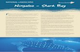 NATIONAL LANDSCAPES Ningaloo – Shark Bay...Head north to Coral Bay or Exmouth and join a snorkelling (people are not able to scuba dive with whale sharks) tour to swim with the whale