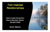 Wehrly Fish Habitat - College of Agriculture & Natural ......Important Habitat Features. Title: Microsoft PowerPoint - Wehrly_Fish Habitat Author: latimor1 Created Date: 5/7/2016 4:28:02