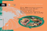 THE METHODOLOGICAL SHEETS FOR SUBCATEGORIES IN … · 2013-11-11 · 5 Introduction The UNEP/SETAC Life Cycle Initiative Social LCA Project group started the work on methodological