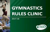 GYMNASTICS RULES CLINIC - WIAAwiaa.com/conDocs/Con1649/2017-18 Gymnastics Rules Clinic.pdf · • The deduction of 0.20 for any verbal/visual assistance by the coach or teammates