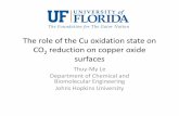 The the Cu oxidation state on copper oxide surfacesww2.che.ufl.edu/reu/student_presentations/2010/Le_presentation.pdfMicrosoft PowerPoint - ThuyMy_FINAL PRESENTATION.pptx Author: dkopelev