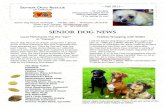 SENIOR DOG NEWSOR85/PDF/Fall2011.pdf · 2012-01-11 · We want to hear from you! Send us your Senior Dog Rescue adoption stories and photos! Contact newsletter editor Joan Hurley