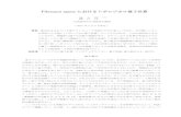 Fibonacci anyon におけるトポロジカル量子計算 - …ex.osaka-kyoiku.ac.jp/~fujii/2015/DL/file/Fibonacci.pdfFibonacci anyon におけるトポロジカル量子計算 ふじ