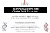 Chelex DNA Photo Teaching Supplement 2016 - Babecbabec.org/.../2016/12/Chelex_DNA_Photo_Supplement_2016.pdf · 2019-01-31 · Teaching Supplement for Chelex DNA Extraction A photo