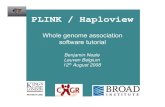 PLINK / Haploviewibg · plink --bfile plink --bfile example --missingexample --missing. Two files will be created: plink.imiss (individual) plink.lmiss (SNP)--bfile {filename} loads