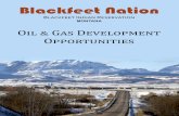Blackfeet Nation - BIABlackfeet tribe for approximately 156,000 net acres. The company currently holds 224,000 net acres on the eastern portion of the reservation. Newfield’s agreement
