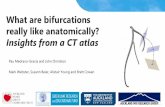 What are bifurcations really like anatomically?...• Knowledge of bifurcation anatomy is essential, yet available data are limited • The aim of this project is to create the world’s