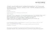 Fast and Efficient Differentiation of Mouse Embryonic Stem ...centaur.reading.ac.uk/88015/9/fncel-13-00579.pdf · United Kingdom), 100 mM 2- Mercaptoethanol and LIF (Leukemia Inhibitory