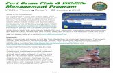Fort Drum Fish & Wildlife Management Program · fishing New York State waters because no state fishing license is needed to fish. If you are accessing Fort Drum training areas to