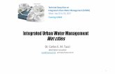 Integrated Urban Water Management...Integrated Urban Water Management (IUWM) Tokyo Sep 25 to 29, 2017 Framing IUWM 1 Outline •Main impacts and causes in developing countries cities