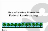 Use of Native Plants in Federal Landscaping · 2005-08-31 · EPA WHY NATIVE PLANTS??Executive Order 13112 to use native species and control invasives! More than 200 plants have become