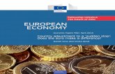 Fellowship initiative The future of EMU EUROPEAN ECONOMYec.europa.eu/economy_finance/publications/economic_paper/2013/p… · The shock absorbers provided by the financial ‘plumbing’