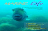January/February 2011 Issue 11 · introduced alien species. While the river itself is getting cleaner and things are looking up, the marine pest side of the report card was looking