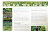 Permaculture Northern Beaches Get Into Permaculture€¦ · garden. A chicken run placed in a fruit orchard for example will result in weeding, fertilization and bug control, and
