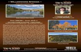 Willowstone Springs Property Brochure · Willowstone Springs is a tucked away gem with every feature in a mountain property that one could hope to find! The drive to the property