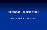 Bison Tutorial - University of Toronto · 2017-12-03 · Description of Bison LALR(1) parser generator under the LALR(1) parser generator under the GNU license Bison Context Free
