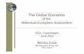The Global ScenariosThe Global Scenarios of the Millennium Ecosystem Assessment EEA, Copenhagen June 2004 Monika Zurek MA Scenarios Group TSU FAO, Rome Overview of the talk Questions