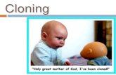 Cloning - New Providence School District...Procedures of Animal Cloning • Nuclear Transfer (Adult DNA cloning) : • DNA from an egg is removed and replaced with the DNA from a cell