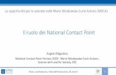 Il ruolo dei National Contact Point - APRE · Centre (IRC) 1995 2000 2008 APRE has been official partner of CIRCE, Innovation Relay Centre of Central Italy APRE is member partner
