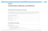 Print This Page Lab 6 Cell Division, Mitosis, and Meiosis€¦ · This lab examines cell division and nuclear division. R e s o u r c e s a n d A s s i g n m e n t s Multimedia Resources