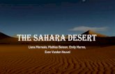 The Sahara Desert - Mrs. Benzing's Classroom …mbenzing-biology.weebly.com/uploads/1/1/0/3/110365537/...•The Sahara is made up of sand dunes, sand seas, gravel plains, stone plateaus,