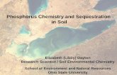 Phosphorus Chemistry and Sequestration in Soilweb2.uwindsor.ca/lemn/LEMN2010_files/Presentations/... · 2010-05-03 · Phosphorus source terms / weighting factors in current Ohio
