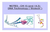 NOTES - CH 15 (and 14.3): DNA Technology (“Biotech”) · Steps Involved in DNA Fingerprinting: 1) Collect DNA from a sample; 2) Perform PCR if necessary to make more DNA; 3) Cut