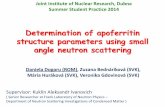 Determination of apoferritin structure parameters using ...newuc.jinr.ru/img_sections/file/Practice2014/EU/Student Presentation… · Structure Analysis by Small-Angle X-Ray and Neutron